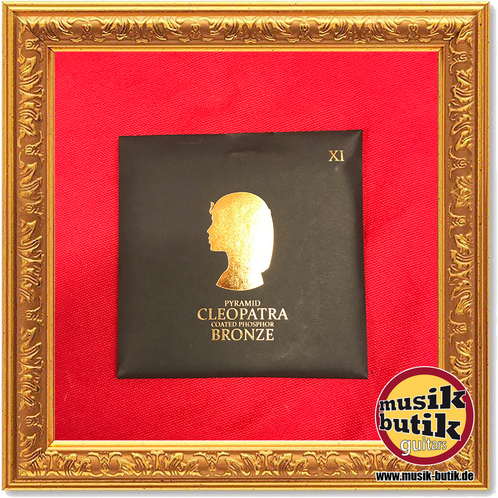 Pyramid Cleopatra Coated Phosphor Bronze CLEO-XI 011-050