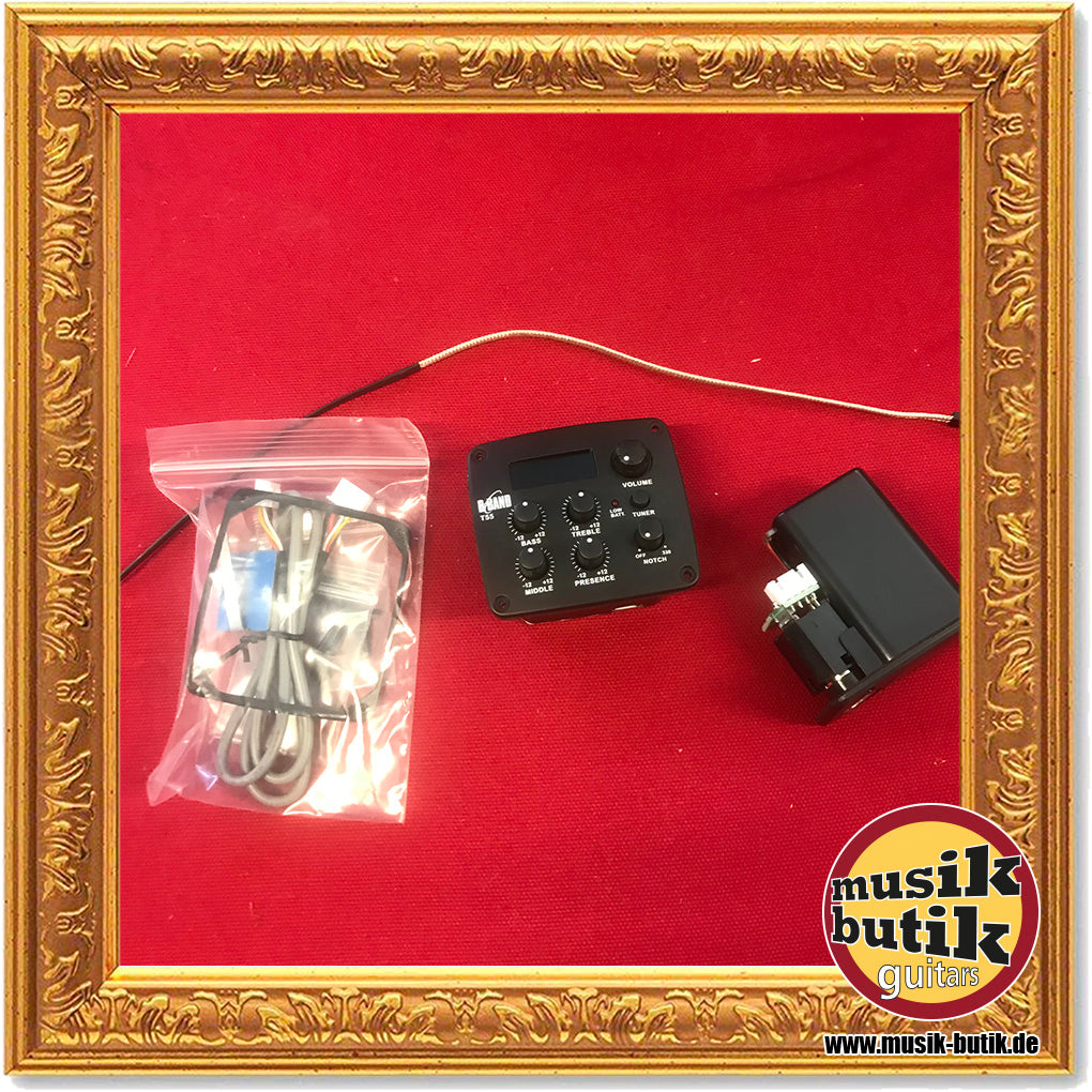 B-Band T55 4-Band Pickup-System Acoustic Guitar