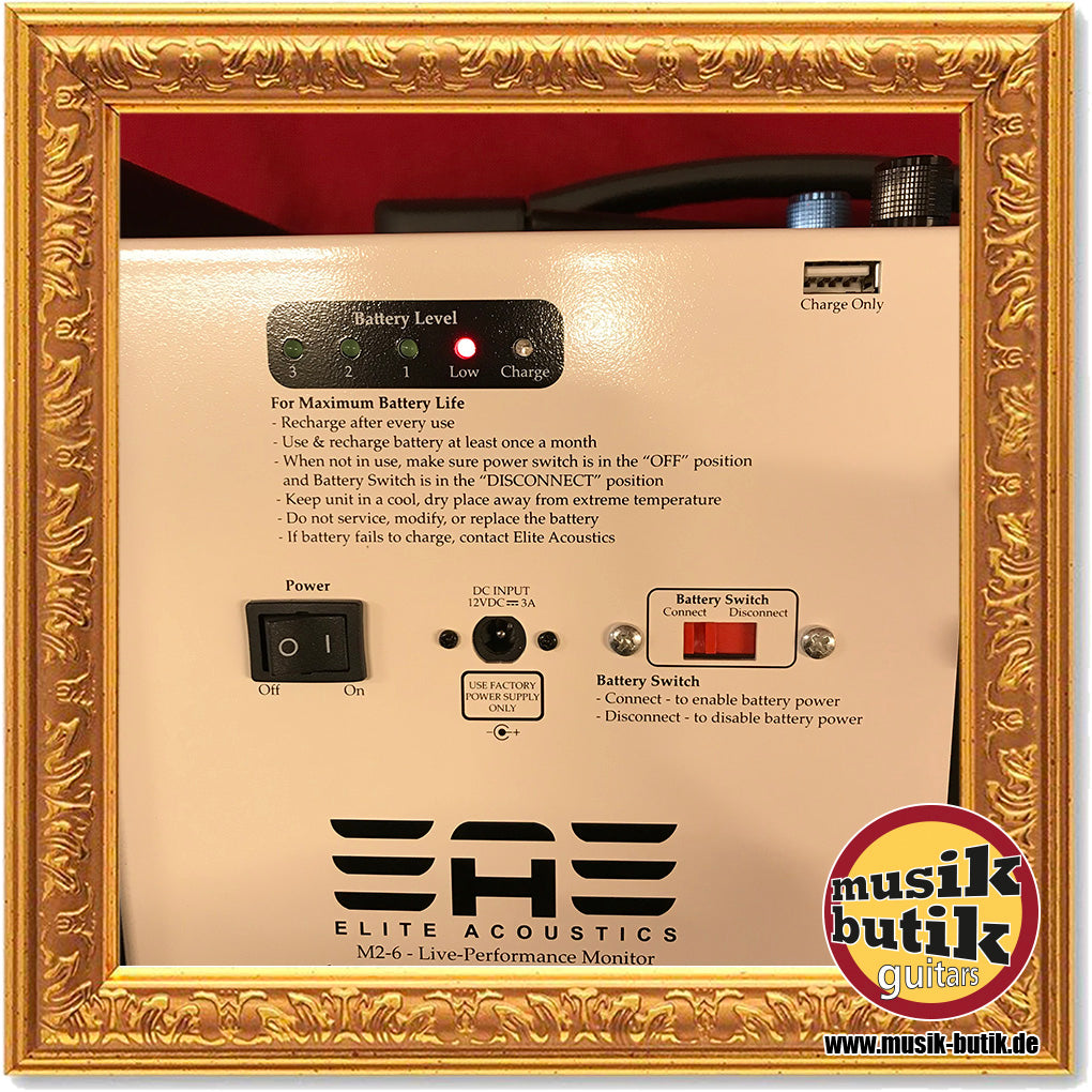 Elite Acoustics M2-6 Acoustic Amplifier