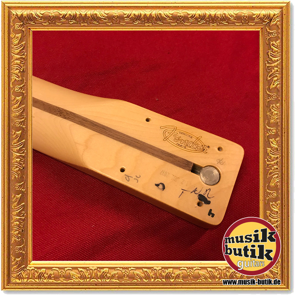 Fender Tele Hals Standard Serie maple / pao ferro