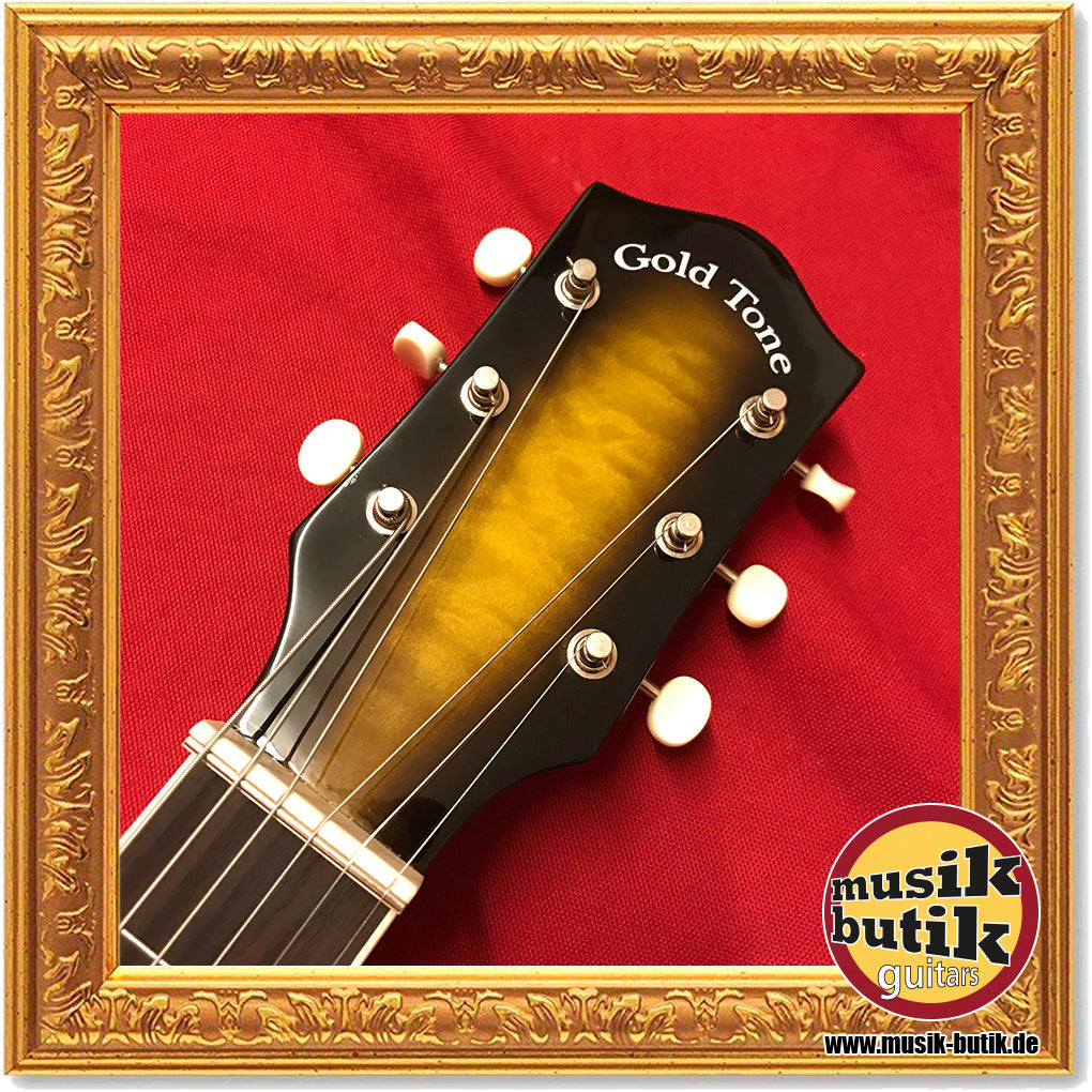 Gold Tone LS-6 Lapsteel