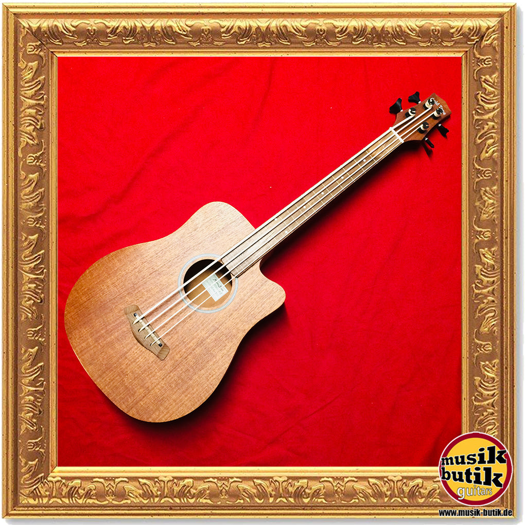 Gold Tone Microbass M-BASS 25 / FL Fretless