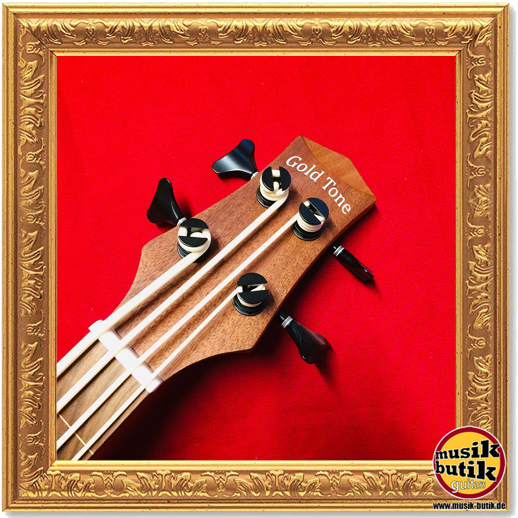 Gold Tone Microbass M-BASS 25 / FL Fretless