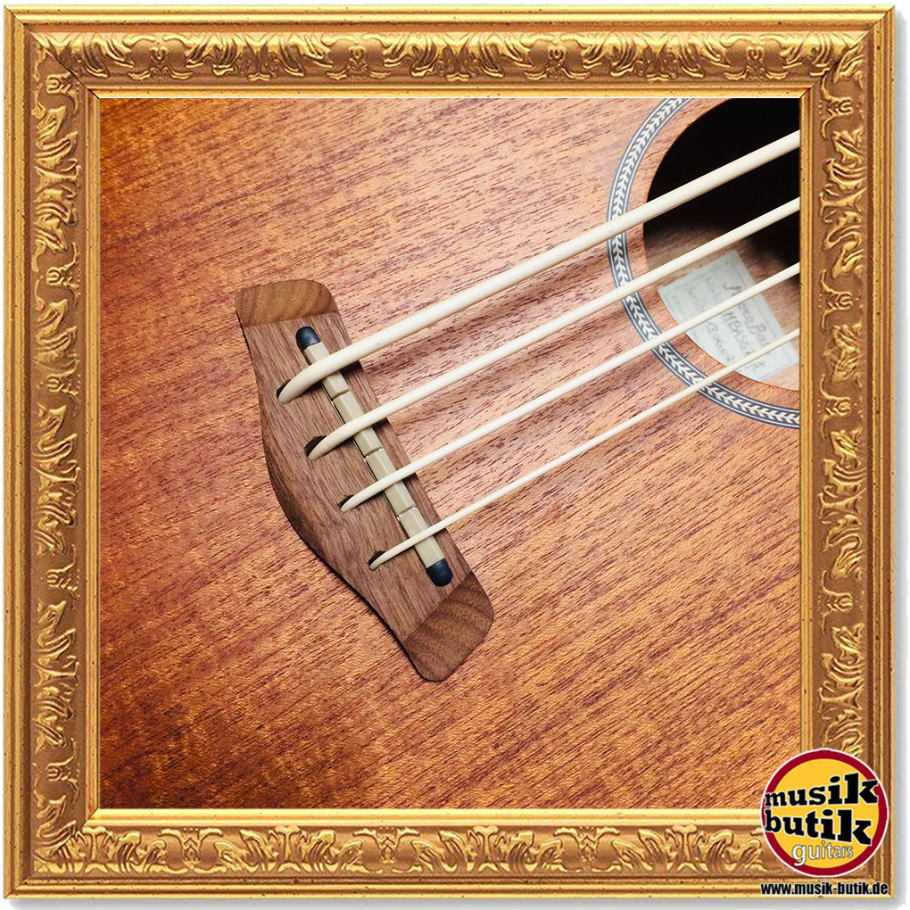 Gold Tone Microbass M-BASS 25 / FL Fretless