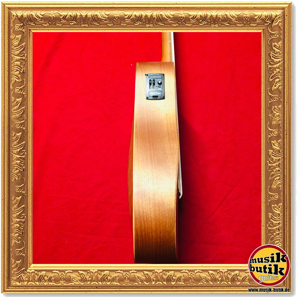 Gold Tone Microbass M-BASS 25 / FL Fretless
