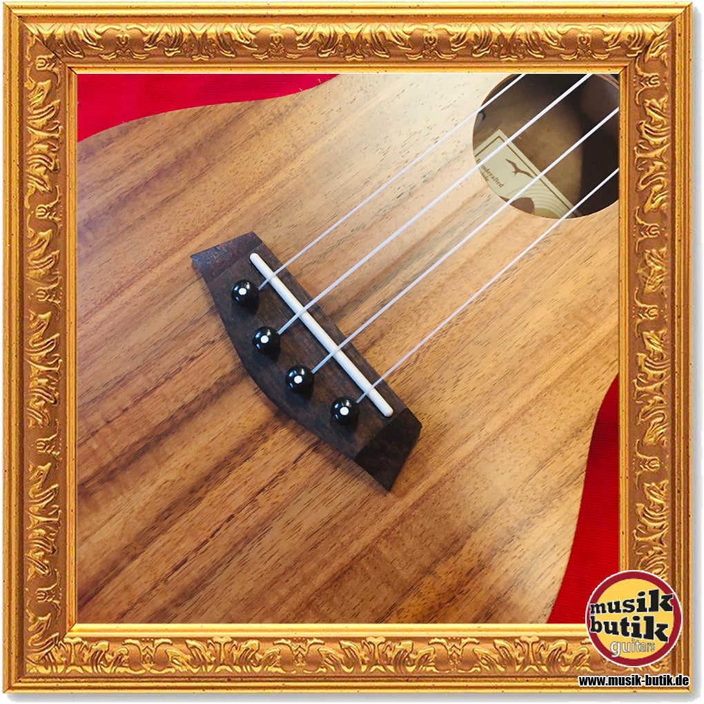 Islander AC-4-EQ Concert Ukulele Acacia