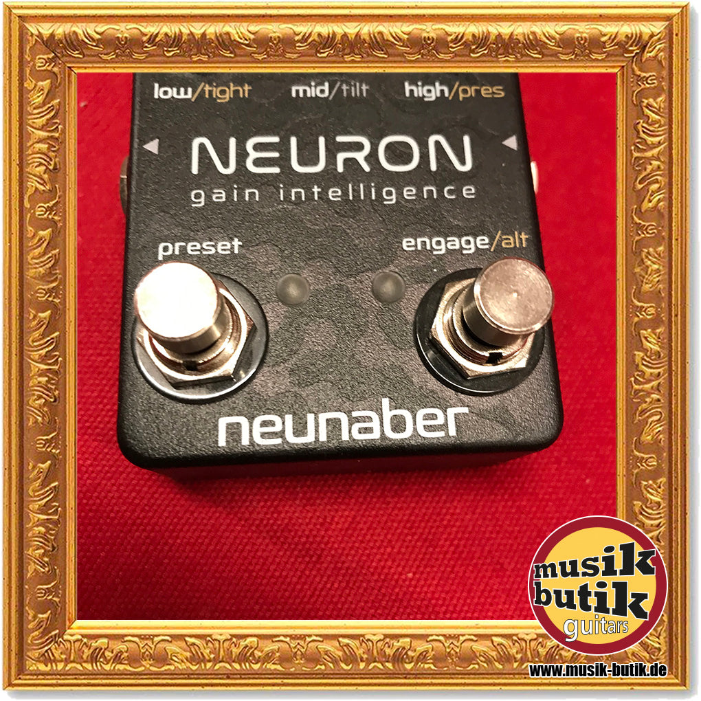 Neunaber Neuron Gain Intelligence