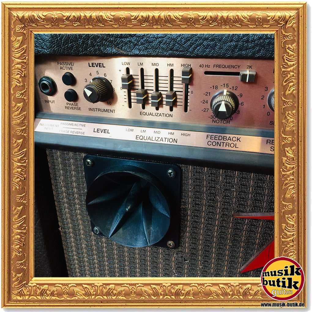 Peavey ECOUSTIC 112 gebraucht