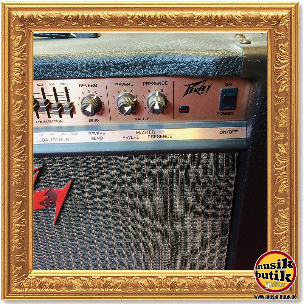 Peavey ECOUSTIC 112 gebraucht