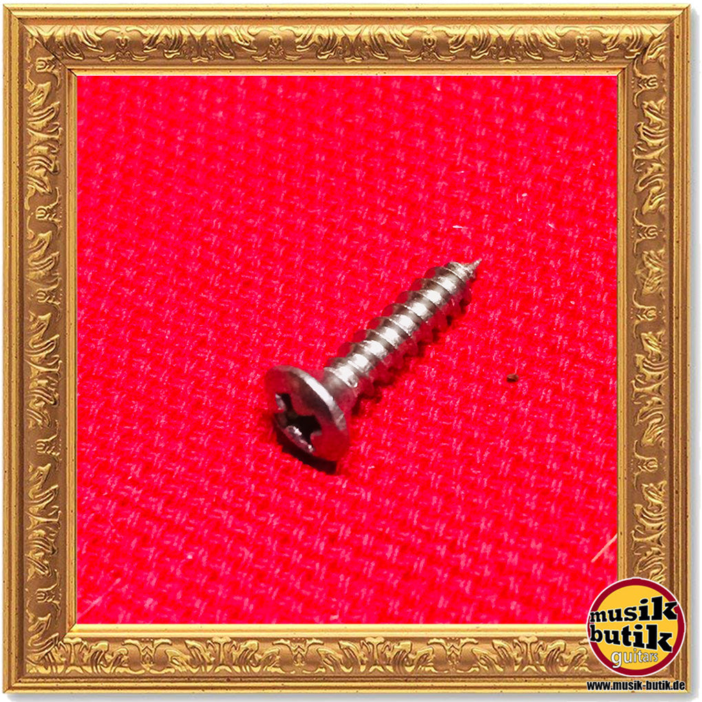 Pickguardschraube, F-Style Nirosta V2A 10 Stück