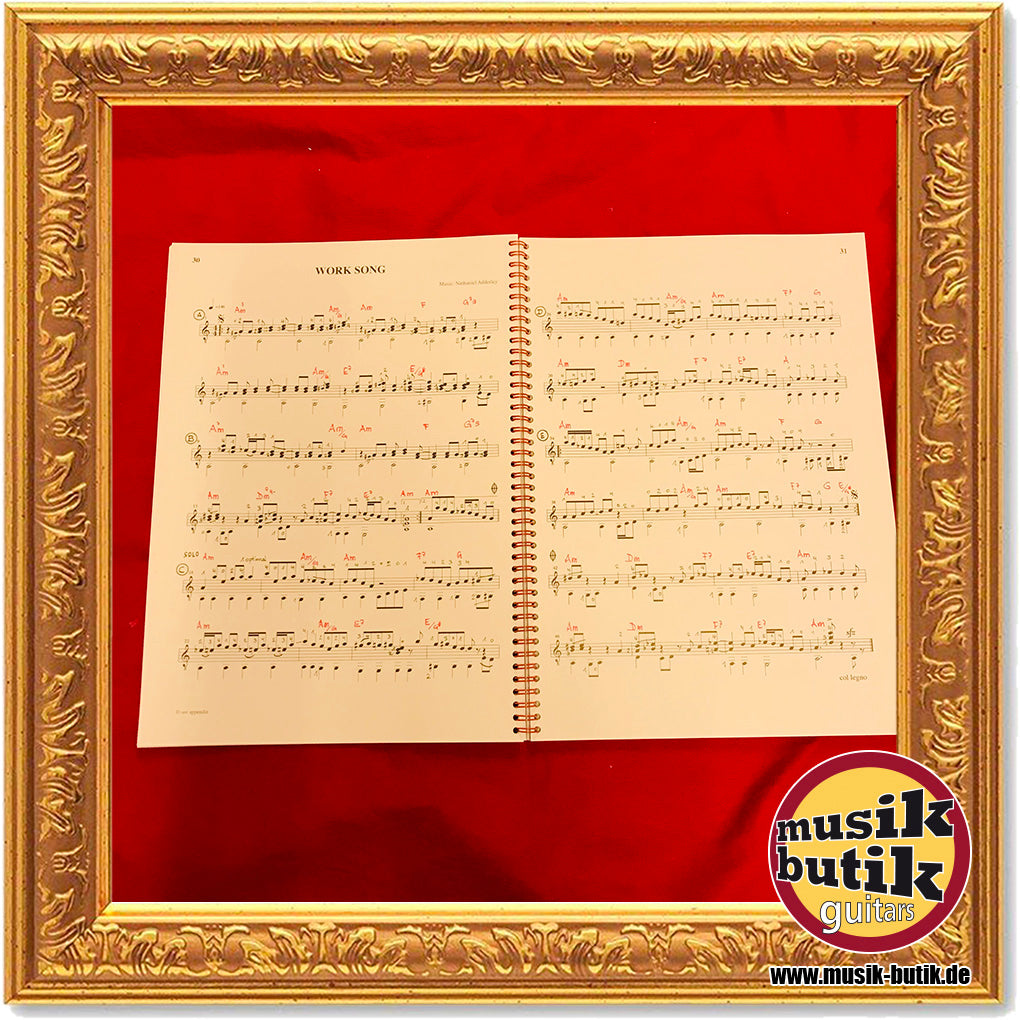 Schwab, Sigi: Guitar Book