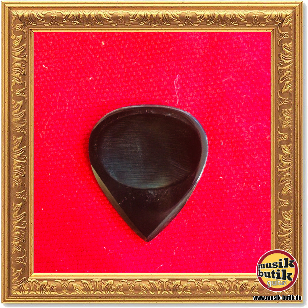 Stanford Guitar Pick Templedoor Dark Horn