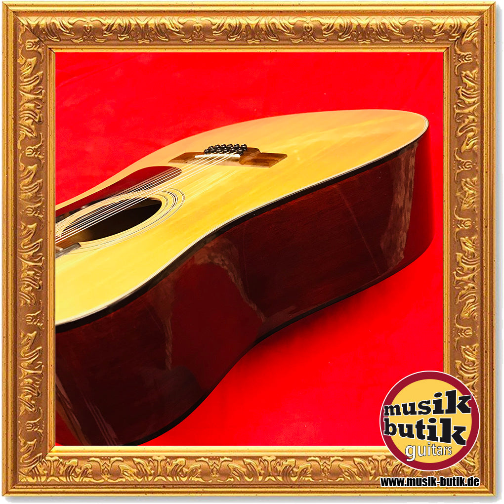 Washburn D-12-12N