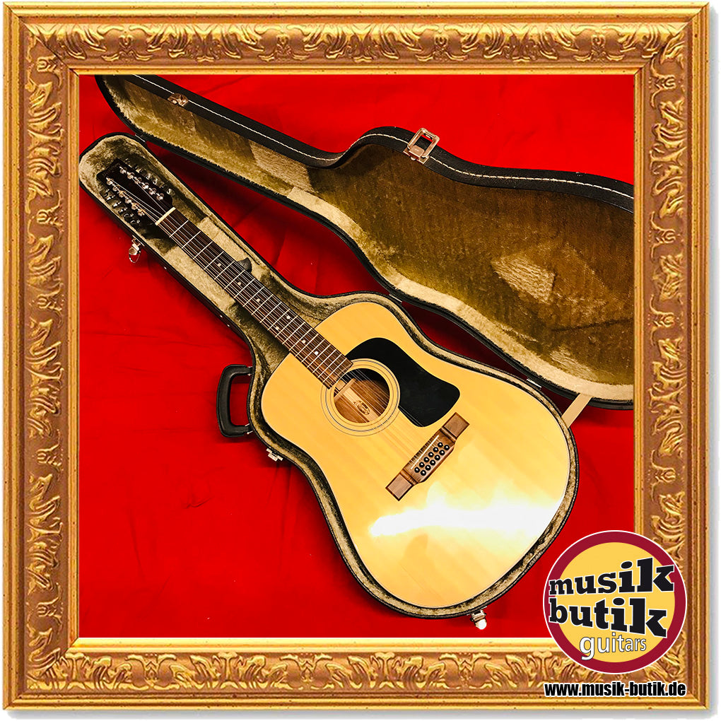 Washburn D-12-12N