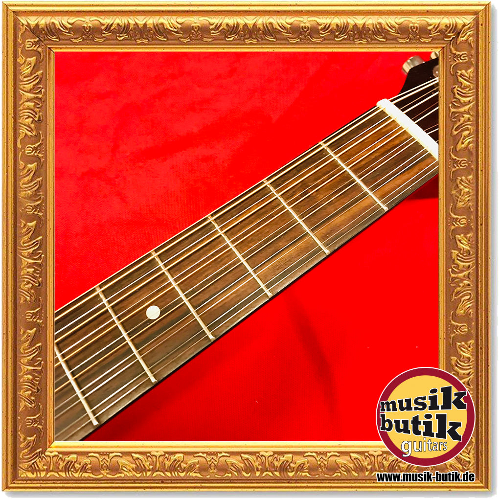 Washburn D-12-12N