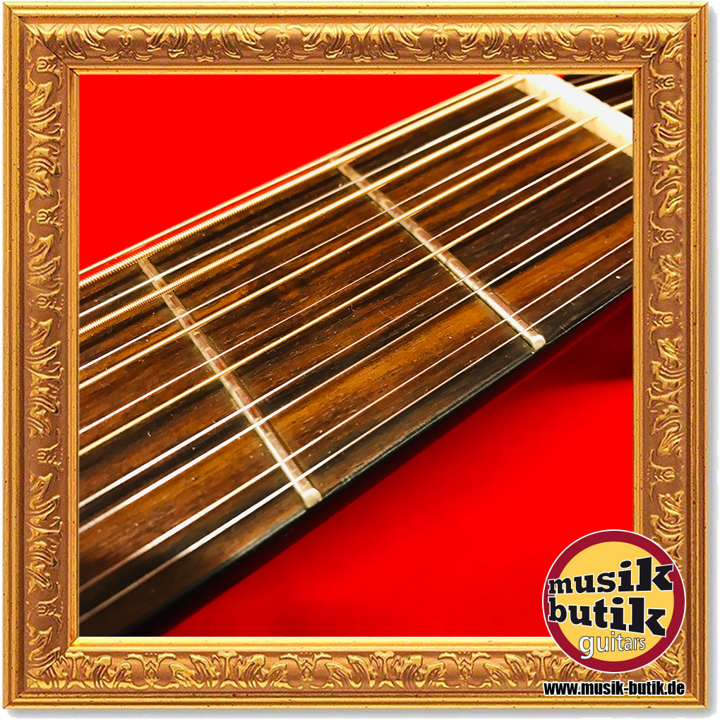 Washburn D-12-12N