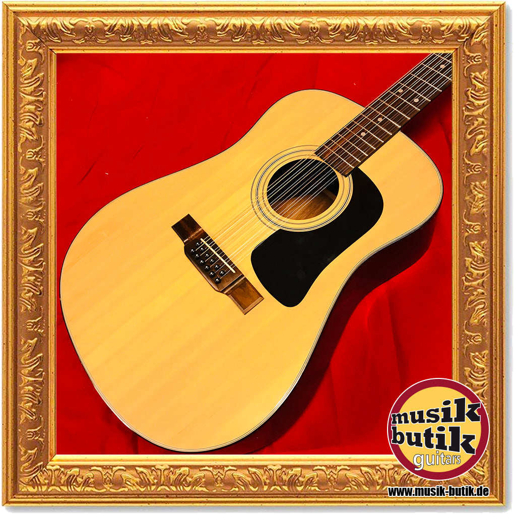 Washburn D-12-12N