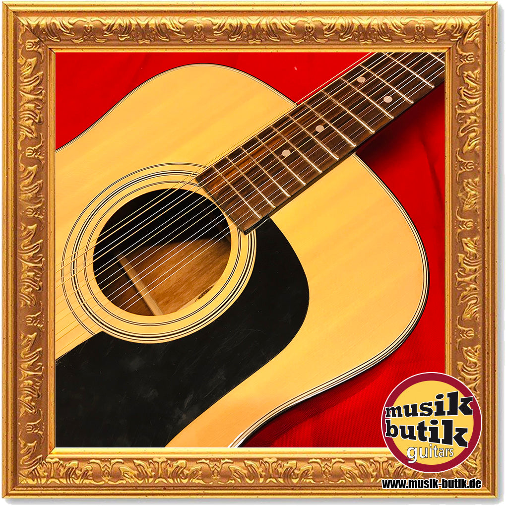 Washburn D-12-12N