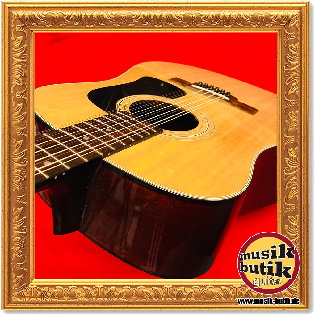 Washburn D-12-12N