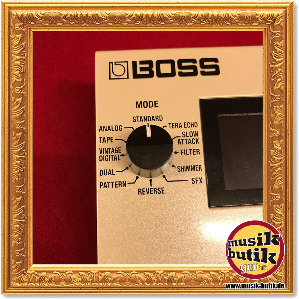 Boss DD-500 Digital Delay