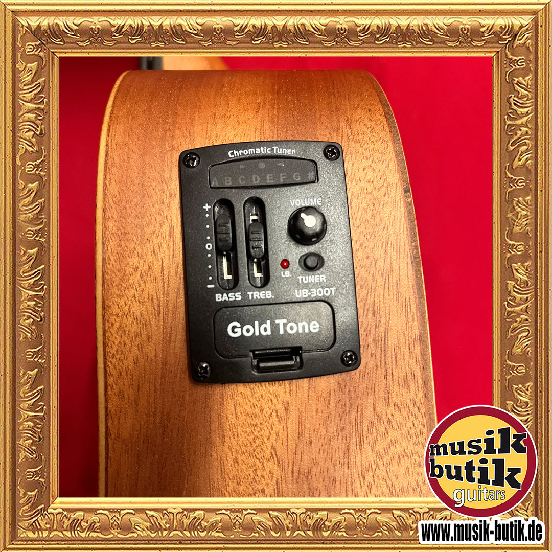 Gold Tone Micro Bass 23 LH