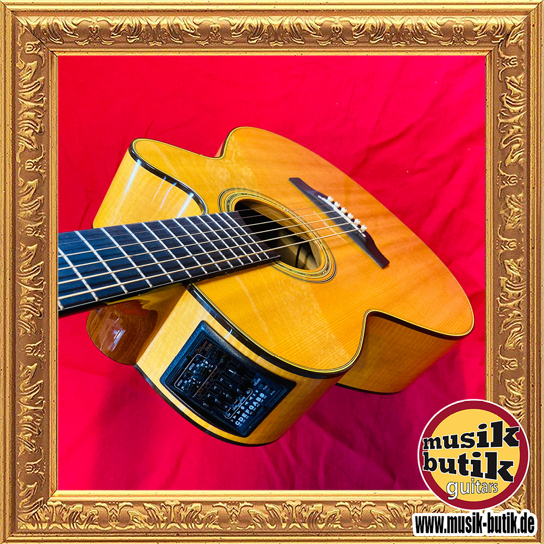 Takamine CNC-WS2 gebraucht mit Koffer
