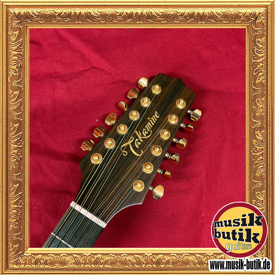 Takamine SEN-20-12