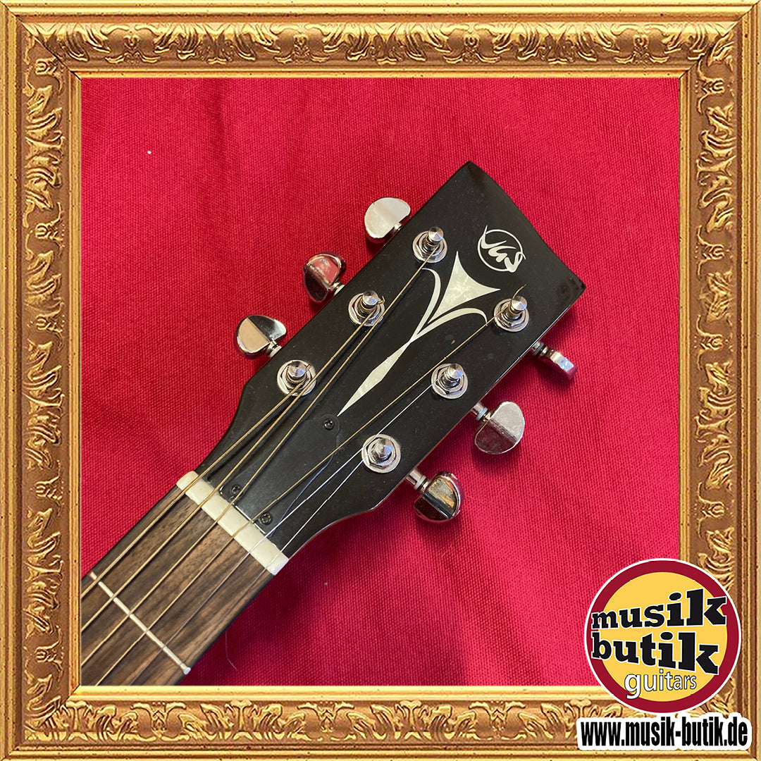 VGS Banjo 6-string incl. Koffer gebraucht