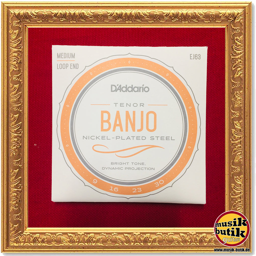 D'Addario EJ63 Tenor Banjo, Nickel, 9-30