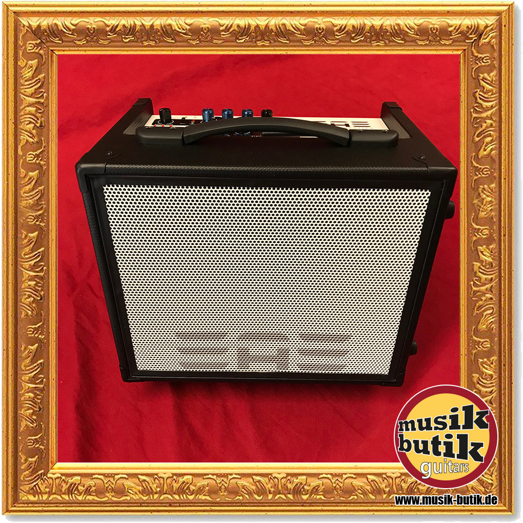 Elite Acoustics M2-6 Acoustic Amplifier