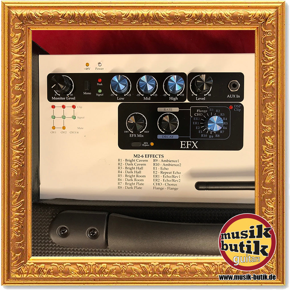 Elite Acoustics M2-6 Acoustic Amplifier