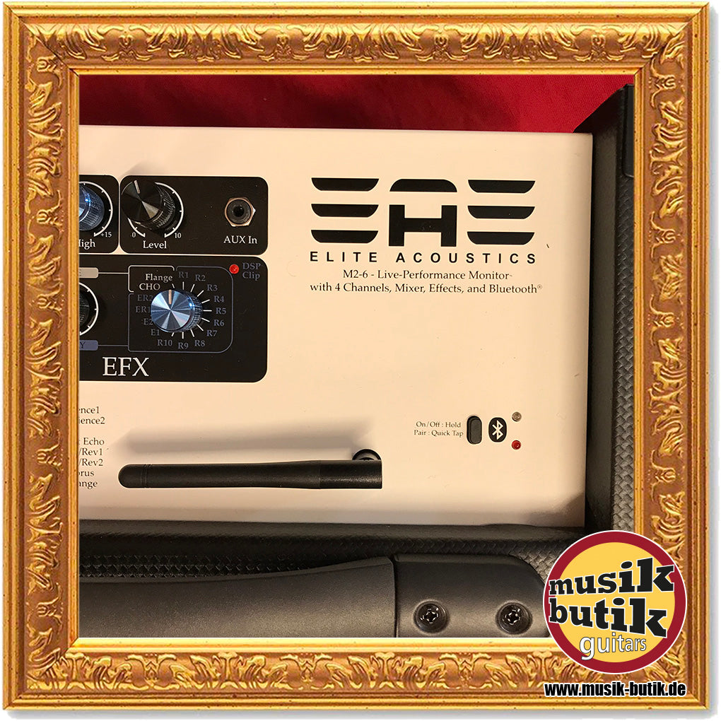 Elite Acoustics M2-6 Acoustic Amplifier