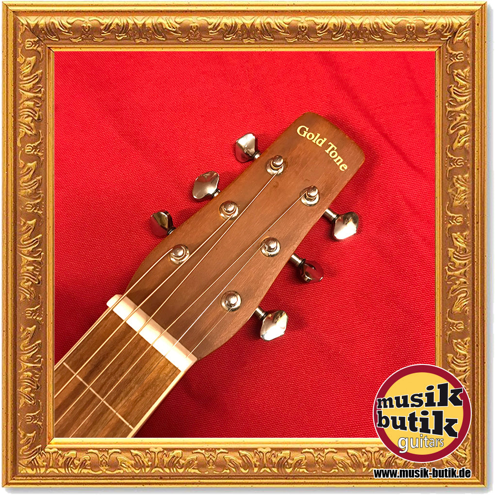 Gold Tone GT-WB Weissenborn