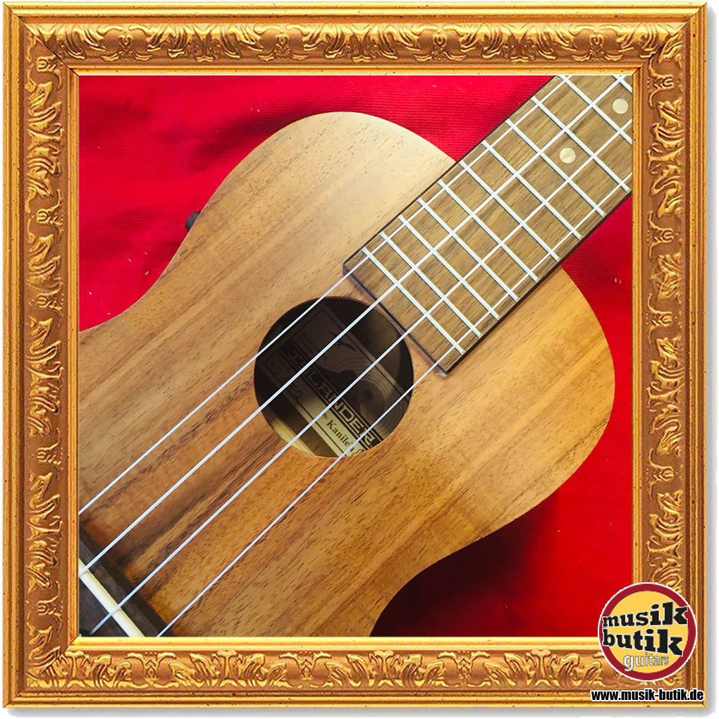 Islander AC-4-EQ Concert Ukulele Acacia