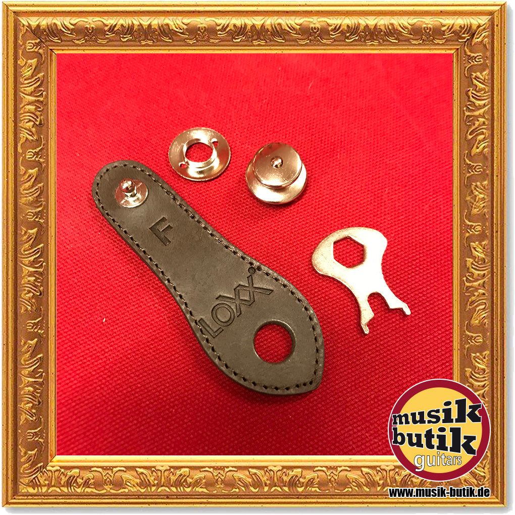 Loxx Security Lock Acoustic Adapter F (Fishman)