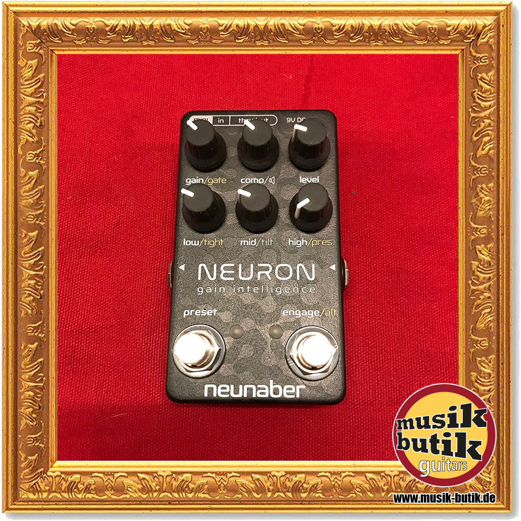 Neunaber Neuron Gain Intelligence