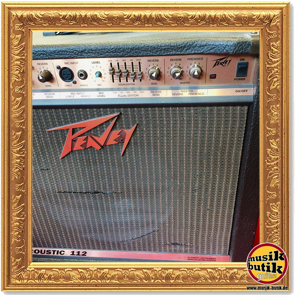 Peavey ECOUSTIC 112 gebraucht
