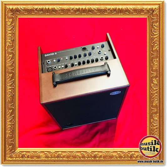 Schertler David-X Wood