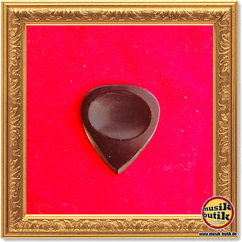 Stanford Guitar Pick Junglemaster Dark Horn