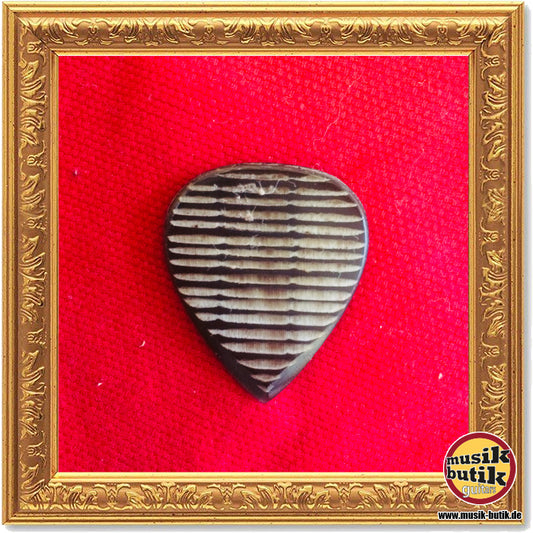 Stanford Guitar Pick Tigertone Dark Horn