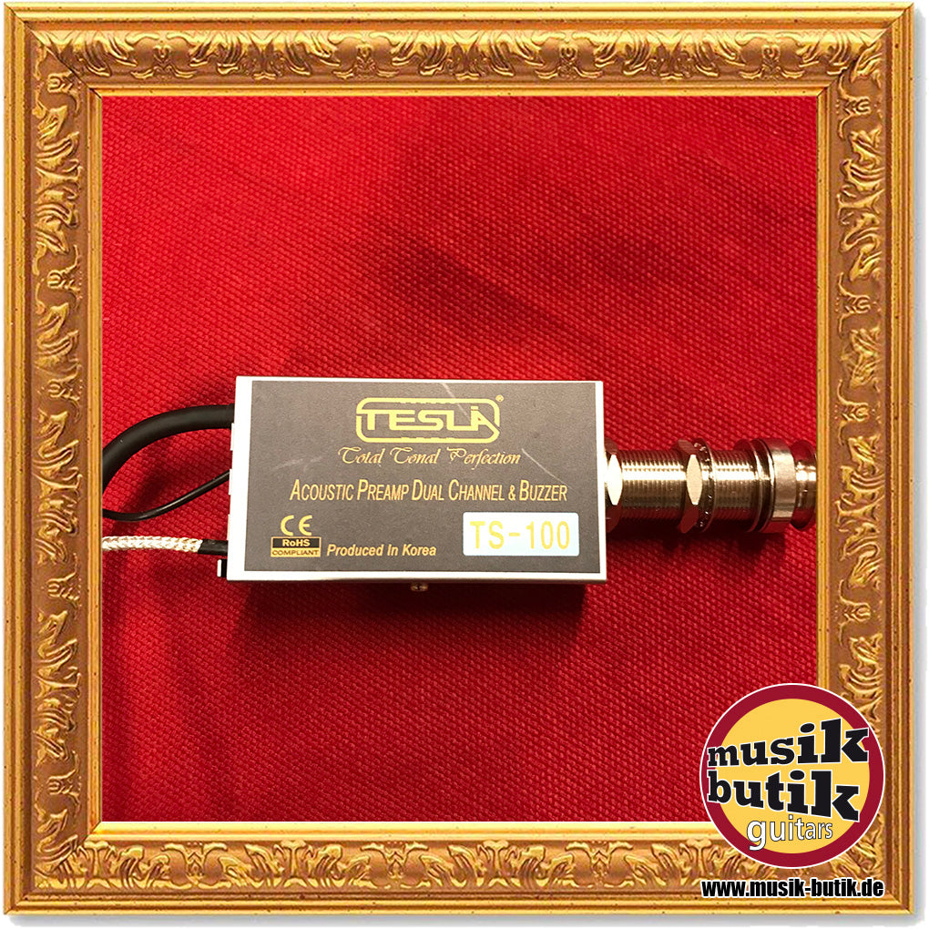 Tesla Pickup TS-100 Dual Acoustic Preamp