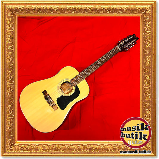Washburn D-12-12N